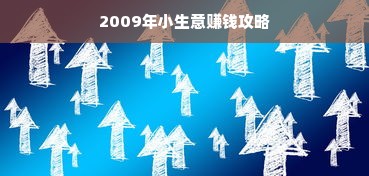 2009年小生意赚钱攻略