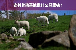 农村养殖基地做什么好赚钱？