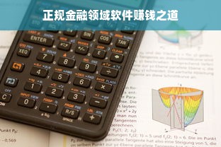 正规金融领域软件赚钱之道