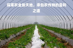 探索农业新天地，承包农作物的盈利之道