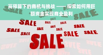 高预算下的商机与挑战 —— 探索如何用巨额资金实现商业盈利