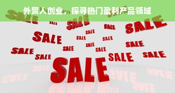 外贸人创业，探寻热门盈利产品领域