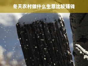 冬天农村做什么生意比较赚钱