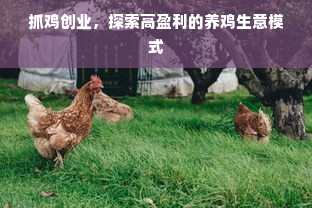 抓鸡创业，探索高盈利的养鸡生意模式