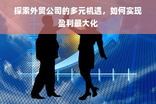 探索外贸公司的多元机遇，如何实现盈利最大化