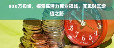 800万投资，探索高潜力商业领域，实现财富增值之路